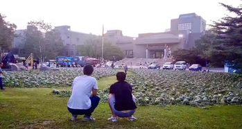 魏县水城吃瓜事件最新